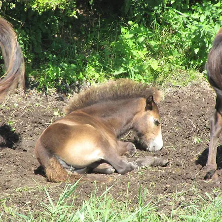 Appart hôtel Ristinge