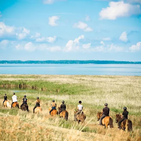 Ξενοδοχείο με διαμερίσματα Ristinge