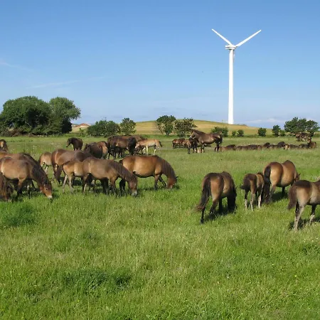 Ristinge Nordenbro Vesteregn